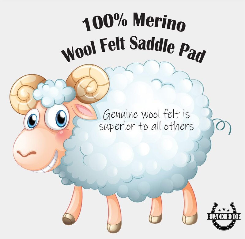 BLACK HOOF Steam Pressed Merino Wool Felt Contoured Pad
