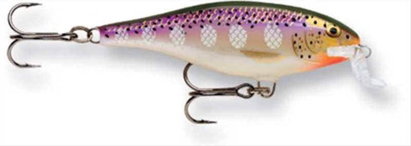 Rapala Shallow Shad Rap 05 Fishing lure (Purpledescent , Size- 2.5)