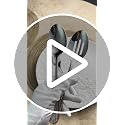 4-Piece Serving Spoon Set - 8.5-Inch Solid & Slotted Spoons