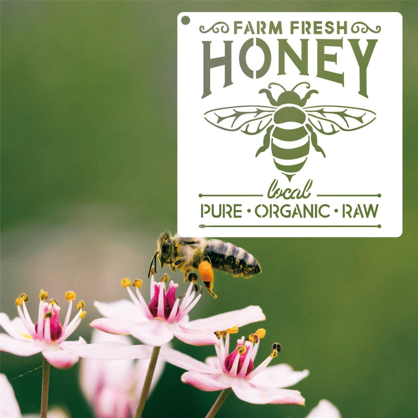 12 Pieces Bee Stencils for Painting on Wood, Honeycomb Hexagon Theme Reusable Stencils, Honey Drawing Template for DIY Scrapbooking Furniture Canvas Wall Floor Decor (5.9 x 5.9 Inch)