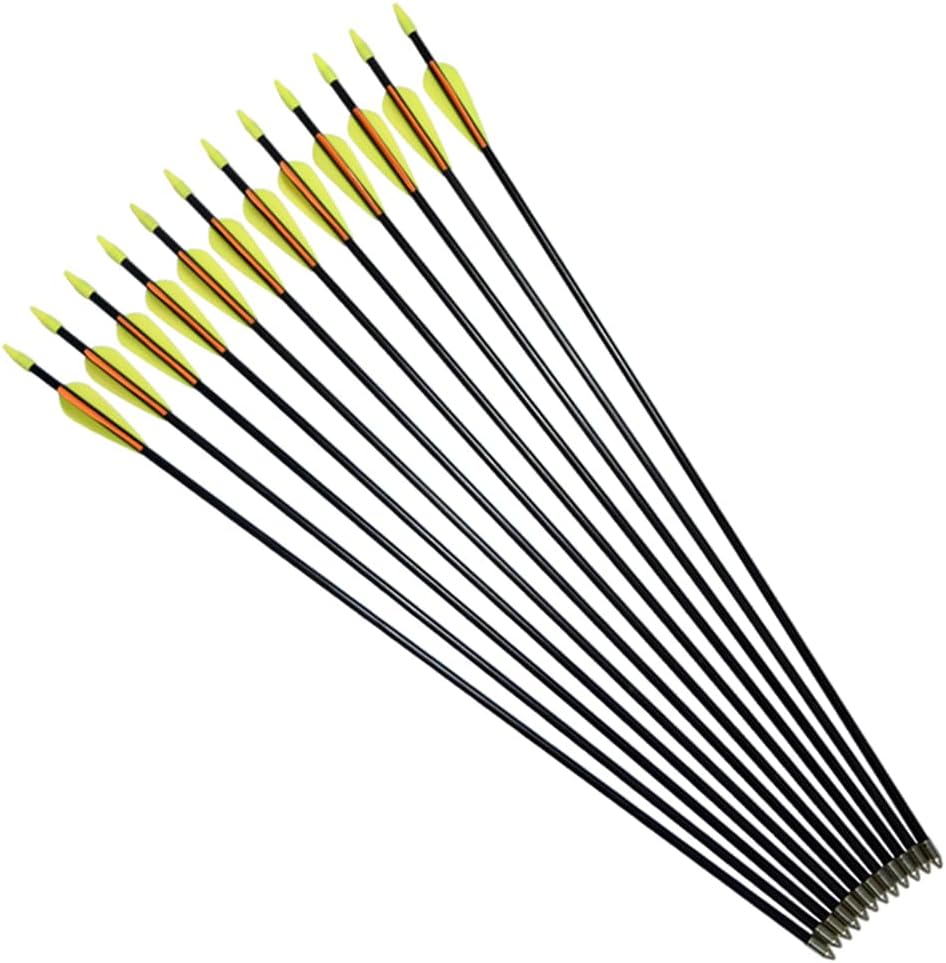 Practice Fiberglass Arrows - Archery Target Shooting for Youth & Beginners | 24/26/28/30 Inch, 6/12 Pack