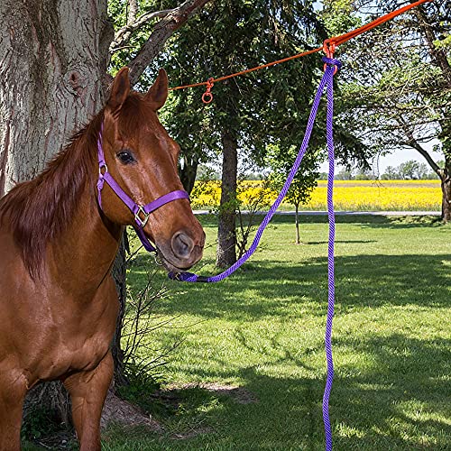 Tough 1 30ft Horse Picket Line Kit with Swivel Tie & Nylon Rope