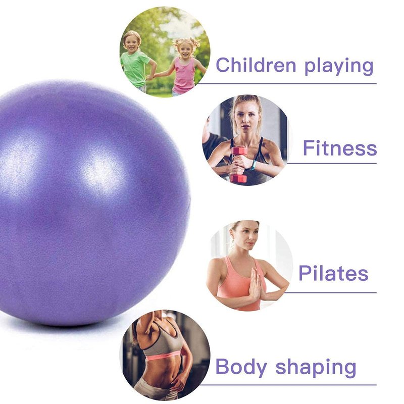 XIECCX Mini Yoga Balls 9 Inch Exercise Pilates Therapy Balance Barre Equipment for Home Stability Squishy Training PhysicalCore Training(6 PCS)