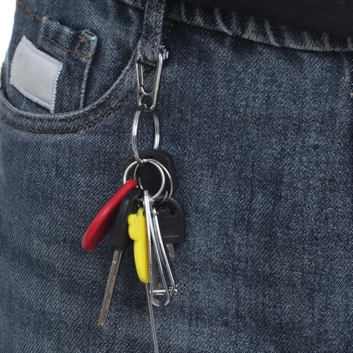 30 PCS Mini Carabiner Clip, Metal Spring Snap Hook Keychains Small
