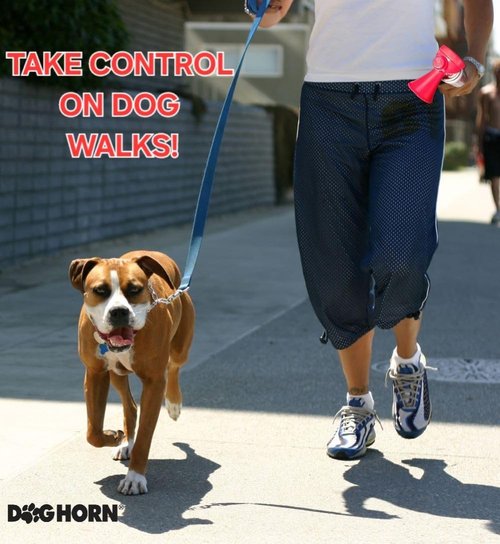 DogHorn XL Air Horn - Effective Training Tool & Outdoor Safety Alarm for Dogs | Scare Wild Animals (Pack of 1)