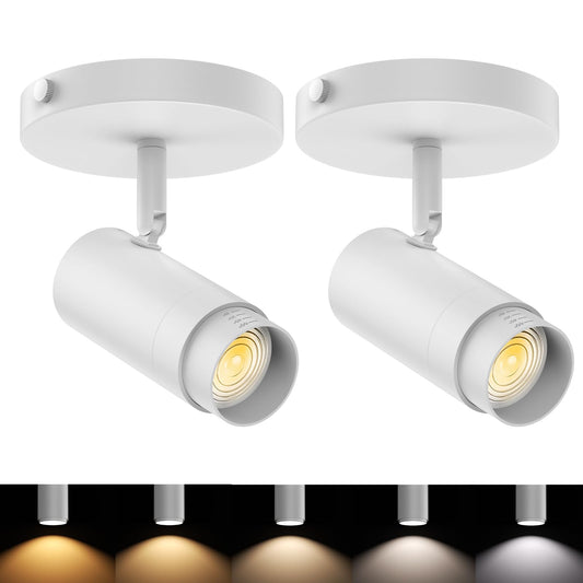 AIBISOD 5-Color Zoomable Ceiling Spot Lights Indoor Fixtures 15-60° Adjustable Beam Angle, Dimmable 10W Directional Ceiling Spotlight Flush Mount for Living Room Bedroom Kitchen White 2 Pack