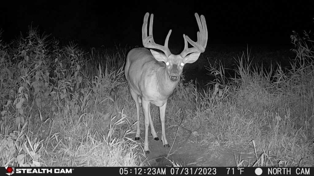Stealth CAM Fusion X-Pro Dual Sim 36 MP Photo & 720P HD Video 0.4 Sec Trigger Speed Wireless Hunting Trail Camera - Available on AT&T & Verizon