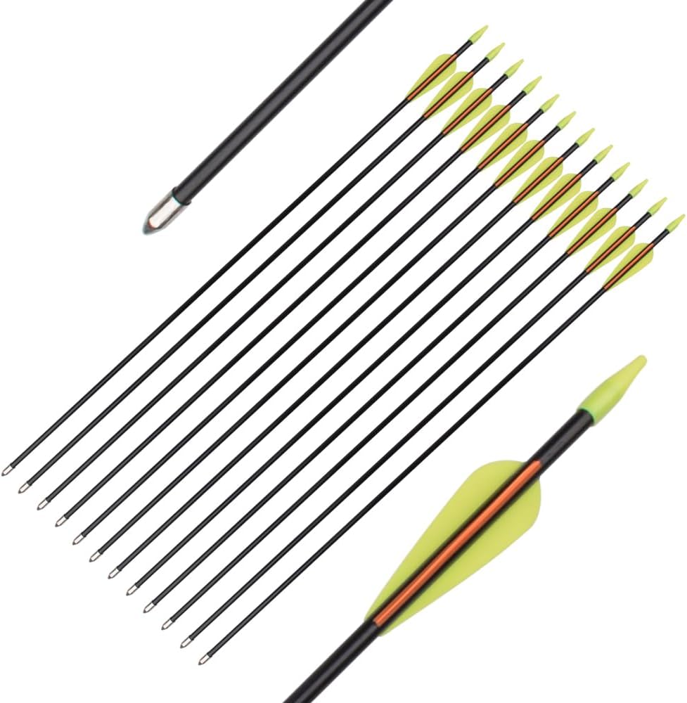 Practice Fiberglass Arrows - Archery Target Shooting for Youth & Beginners | 24/26/28/30 Inch, 6/12 Pack
