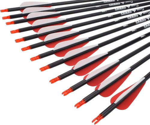 Archery Carbon Arrows for Hunting & Target Practice - Removable Tips, 26-30 Inch, 500 Spine, 6/12 Pack