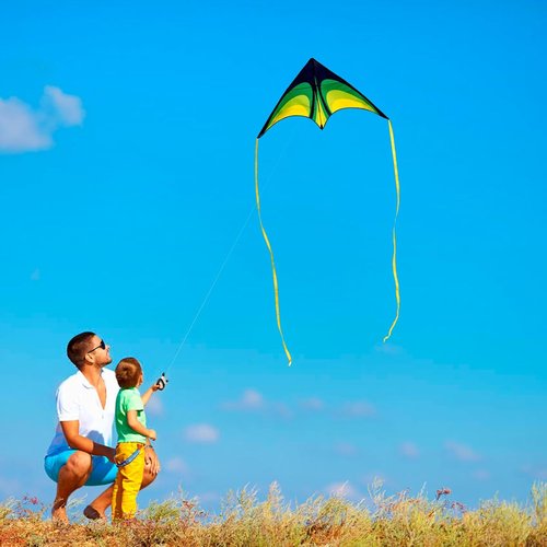 Delta Kite Set - Easy Launch for Kids & Adults | Perfect for Beach & Park Fun (Speed Triangle - G, 1)