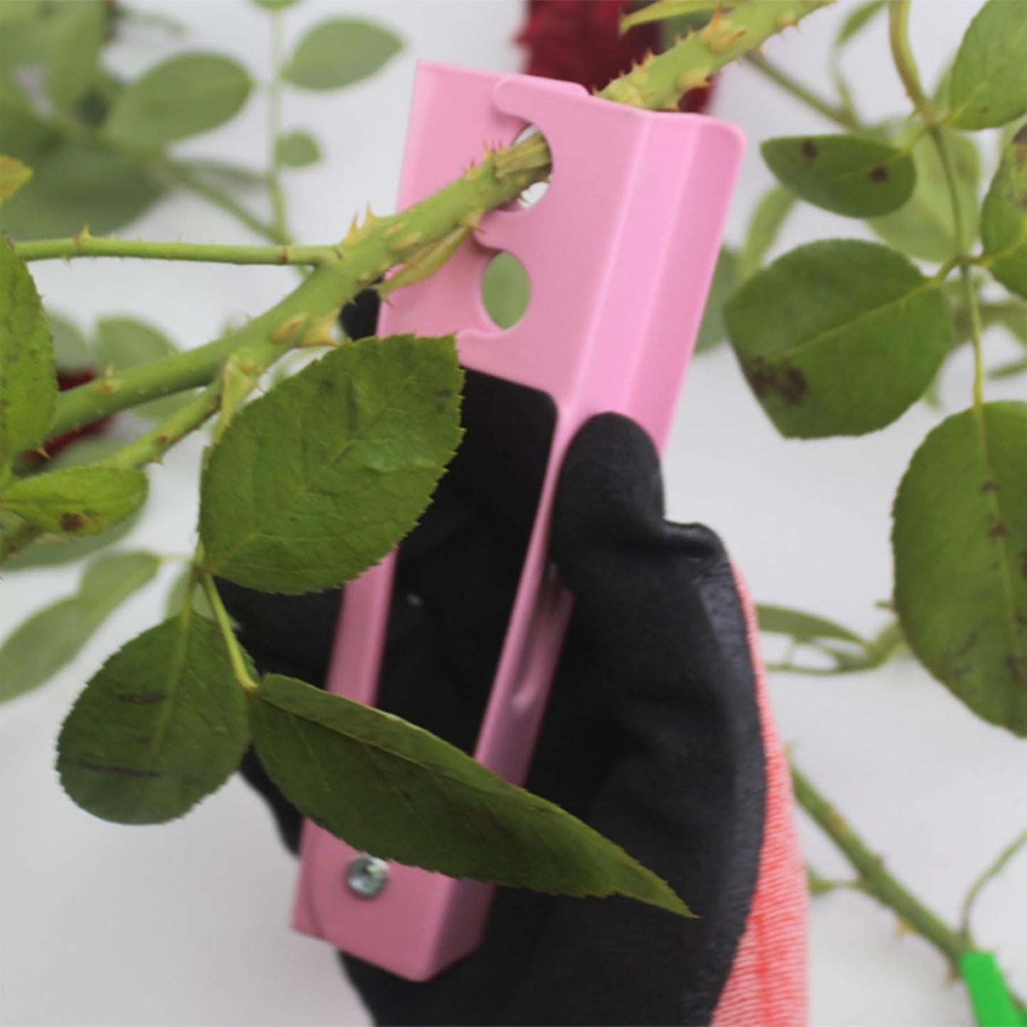 Floral Tool Kit, Rose Thorn Stripper Tool Garden Pruning Shears Scissors Kit, Glove for Floral Making Supplies,Use for Florist Supplies