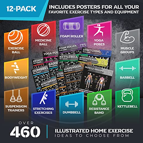 Large Workout Poster Set - 12-Pack Home Gym Exercise Charts - Dark