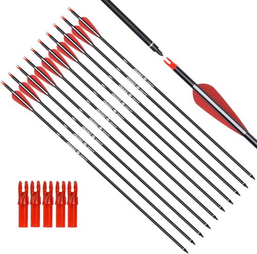 Archery Carbon Arrows for Hunting & Target Practice - Removable Tips, 26-30 Inch, 500 Spine, 6/12 Pack