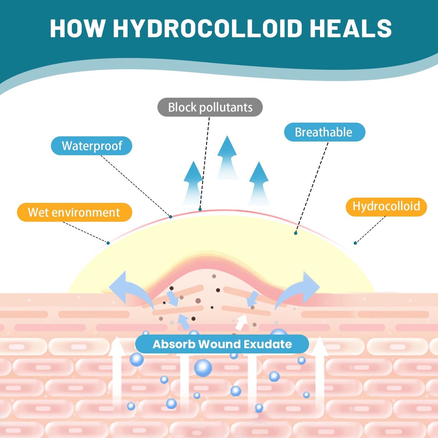 Hydrocolloid Roll for Wound Care, 2in*16.5ft Hydrocolloid Bandages with Self-Adhesive, Extra Large Hydrocolloid Patch Bandages Cut-to-Size, Ultra Absorbent, Waterproof