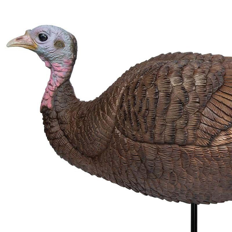 Primos Hunting Lil Gobstopper Hen Turkey Decoy Light-Weight, Collapsible Hunting Decoy 69073, Multicolor