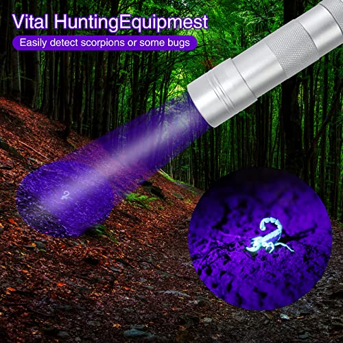 UV Black Light Flashlight 2 Pack - 12LED 395nm Mini Torch - Silver