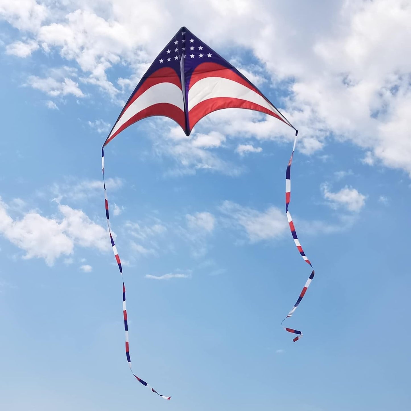 Mint's Colorful Life 60'' Delta Kite - Easy Flying Kite with 7.1in Reel Winder | Perfect for Kids & Adults
