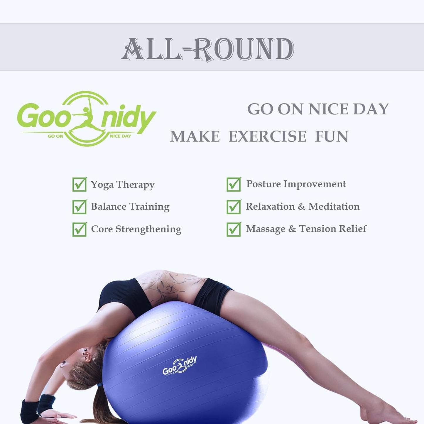 Skiennix Anti-Burst Exercise Ball - 2200lb Support for Pilates, Yoga & Physical Therapy | Includes Pump