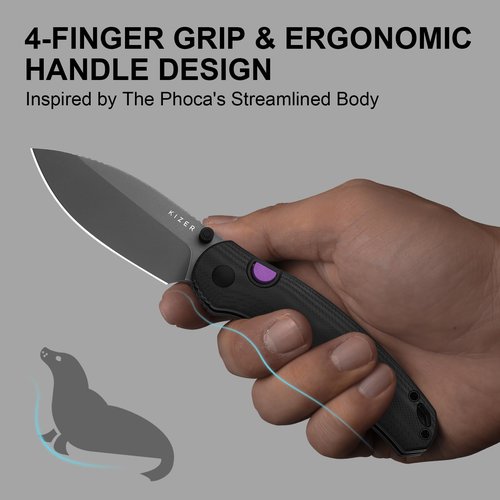 Kizer Phoca BD Pocket Knife, 2.95" Drop Point D2 Blade Folding Knives with Black G10 Handle, Thumb Stud EDC Knife for Men Women V3781BDM1
