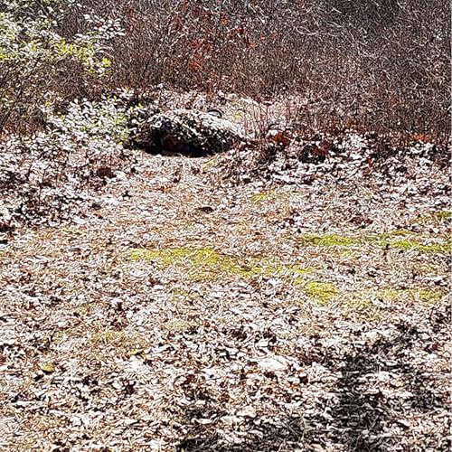 Camouflage Netting for Hunting and Sunshade - Desert Digital, 1.5x2M