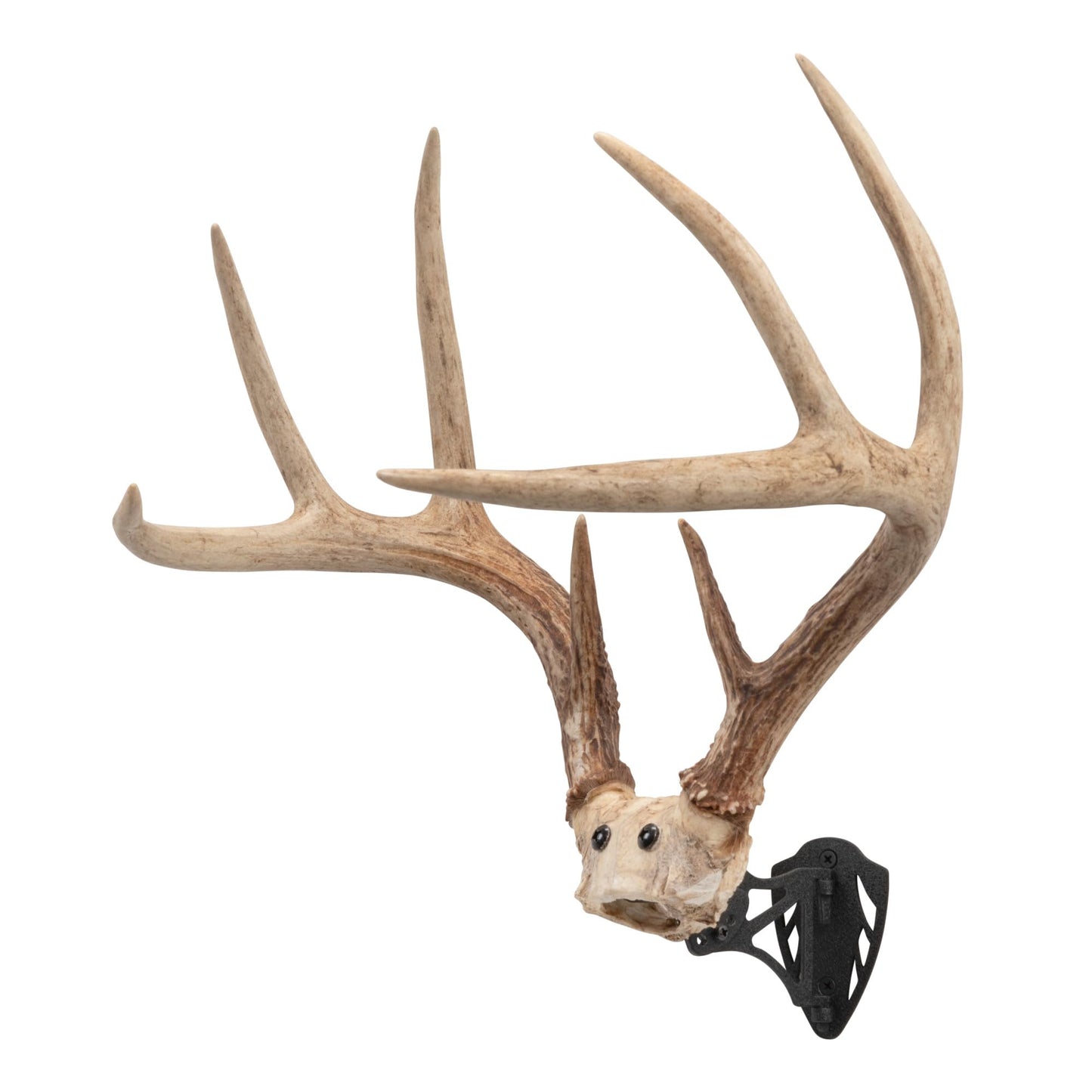 Allen Company EZ Mount Horn Bracket, Brown