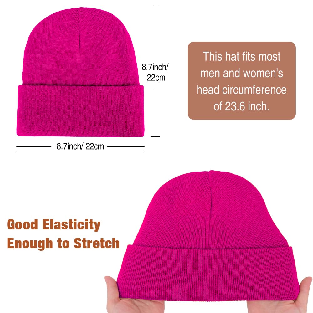 AQOKKA Womens Satin Lined Knit Beanies Hat Warm Silk Lined Winter Hat for Women Men Soft Slouchy Cuffed Unisex Skull Cap
