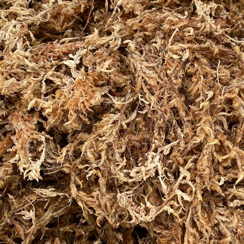 Premium Grade Sphagnum Moss for Orchids & Plants - 190 cu in