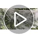 Halloween Spider Web Decorations - 1600 sqft with 100 Fake Spiders & 60 Bats