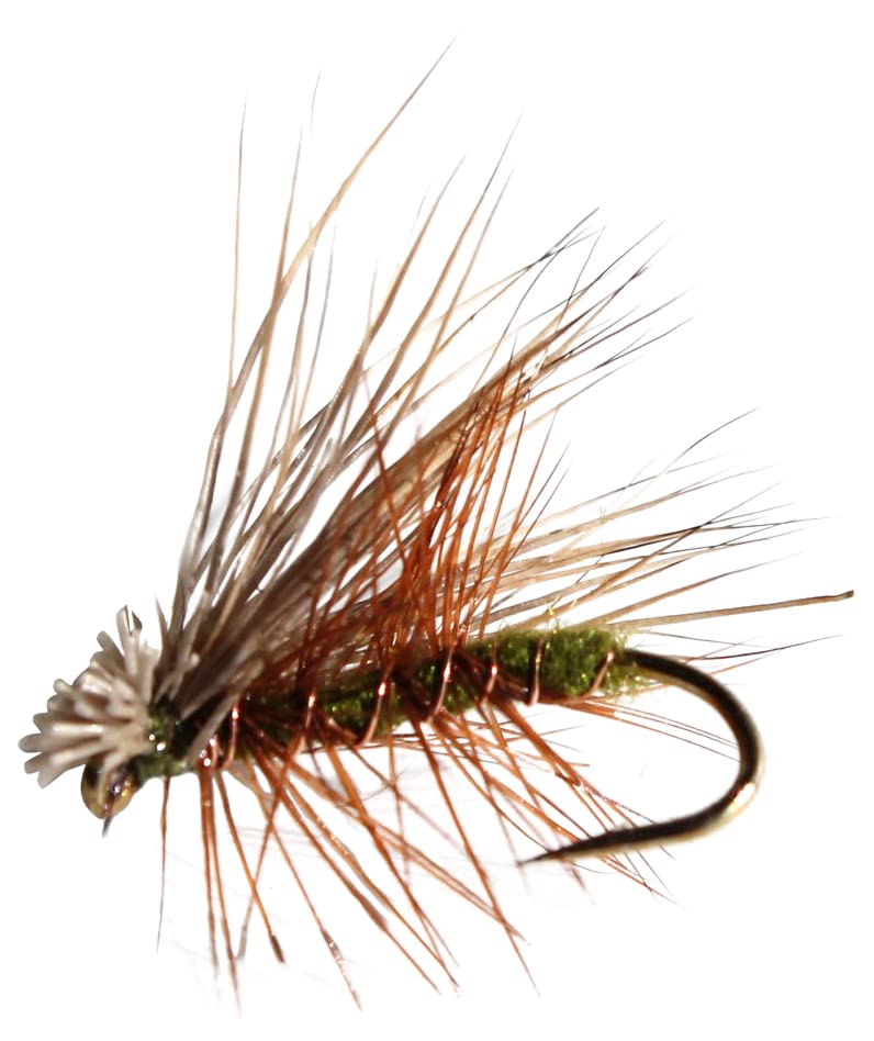 Elk Hare Caddis Olive Fishing Flies Assortment - 12 Pack