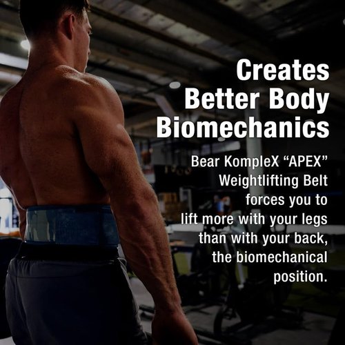 Bear KompleX Premium Leather APEX Weightlifting Belt, Abdominal & Back Support, Powerlifting, Squats and Weight Training, Low Profile, Firm Back Easily Adjustable.