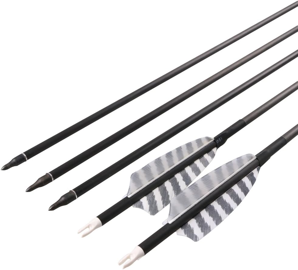Skiennix 32 Inch Carbon Archery Arrows - Spine 400 with Removable Tips & 4 Inch Turkey Feathers | 6 Pack for Hunting & Target Practice