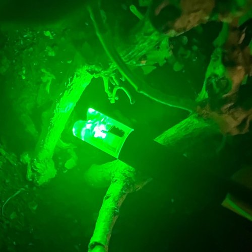 Lighted Nocks for Crossbow - ON/OFF Switch for Archery Hunting - .300 Inside Diameter | 6 Pack