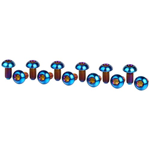 Wanyifa 12Pcs Ti Titanium Bolts Torx M5x10 Bicycle Bike Disc Brake Cycle Rotor Screws Gr5 (Burnt Blue)