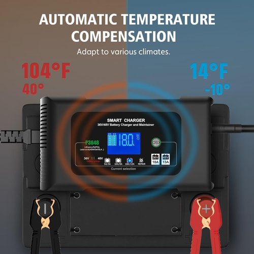 48v Golf cart Battery Charger (Crown Foot kit)
