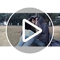 DUKUSEEK Black Waterproof Hooded Stadium Blanket - Large Outdoor Wearable Fleece for Camping Beach Sports