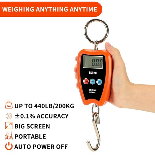 Digital Crane Scale - 300kg/660lbs Capacity | LED Handheld Mini Hanging Scale for Garage, Farm, Fishing