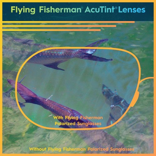 Flying Fisherman Matecumbe Polarized Sunglasses - AcuTint UV Blocker for Fishing & Outdoor Sports