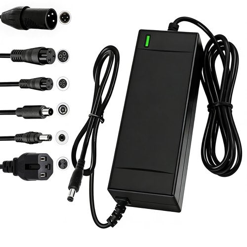 SGS Certified 54.6V 2A Fast Electric Bicycle Charger for 48V Ebike Battery - Fast Charging, Overcharge Protection, Compatible with Ecotric City/Beach, Lectric XP 2.0/3.0, Evercross H5/H7