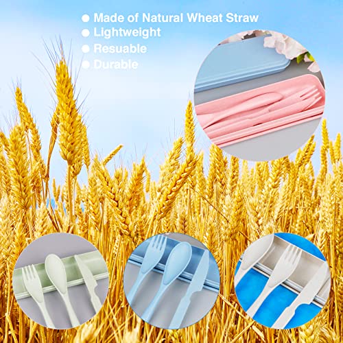 Reusable Travel Utensil Set with Case - Wheat Straw Portable Flatware - Pink