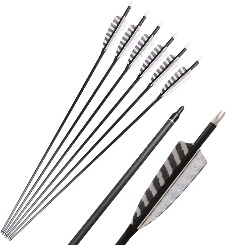 Skiennix 32 Inch Carbon Archery Arrows - Spine 400 with Removable Tips & 4 Inch Turkey Feathers | 6 Pack for Hunting & Target Practice