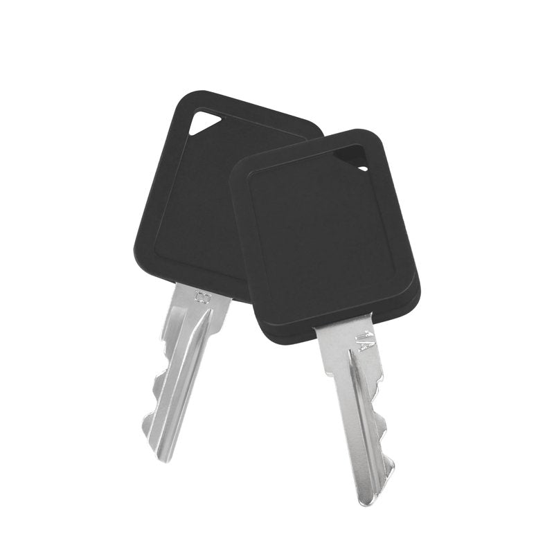 CHNPLUM Club Car Replacement Golf Cart Key 1A & 1B