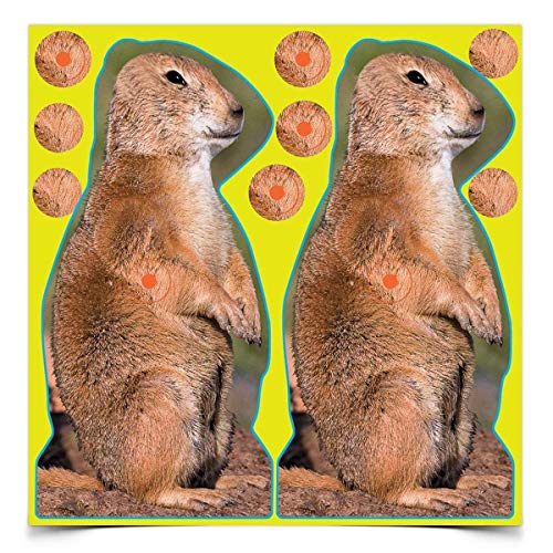 Birchwood Casey Shoot-N-C 12" Prairie Chuck Reactive Shooting Targets - Self-Adhesive Indoor/Outdoor Targets with Repair Pasters, 12 Pack