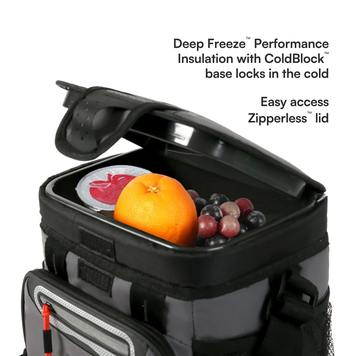 Titan by Arctic Zone 9 Can Zipperless Cooler, SmartShelf, Sharkskin Gray
