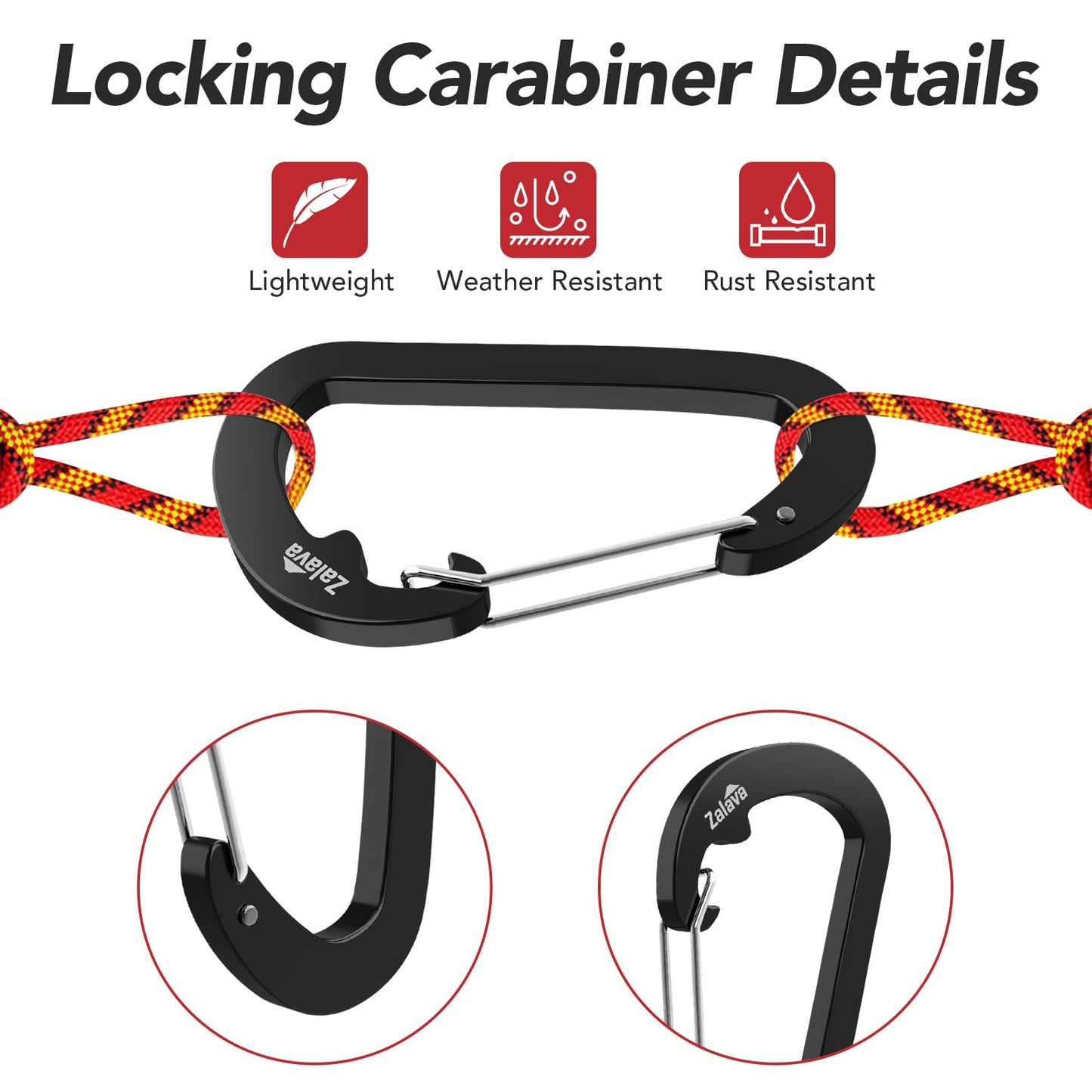 6-Pack Carabiner Clip D-Shape Spring for Keychain, 3 inch Heavy Duty Clip for Climbing Fishing Hiking Outdoor Keychain Clip Hook Black