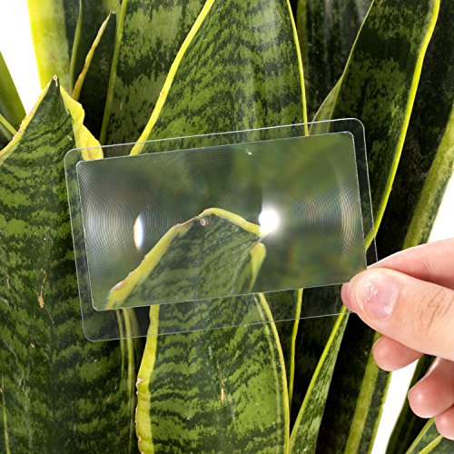 3X Pocket Magnifier Fresnel Lens - 20 Pcs Credit Card Size