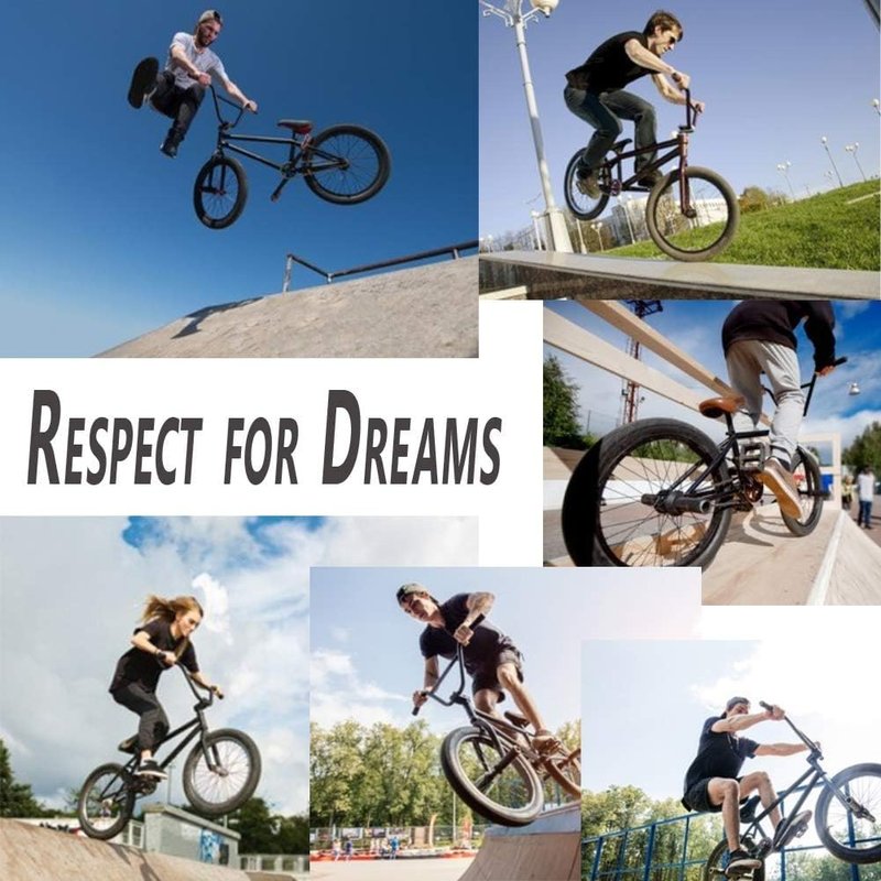 SMALLSTARIII Bike Pegs 4Pcs Aluminum Alloy Anti-Skid Lead Foot Bicycle Pegs 3/8 inch Axles