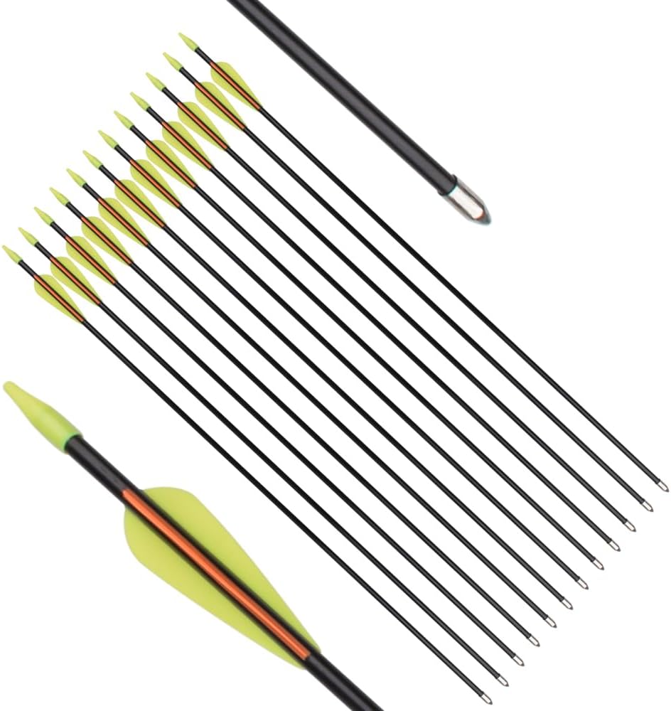 Practice Fiberglass Arrows - Archery Target Shooting for Youth & Beginners | 24/26/28/30 Inch, 6/12 Pack