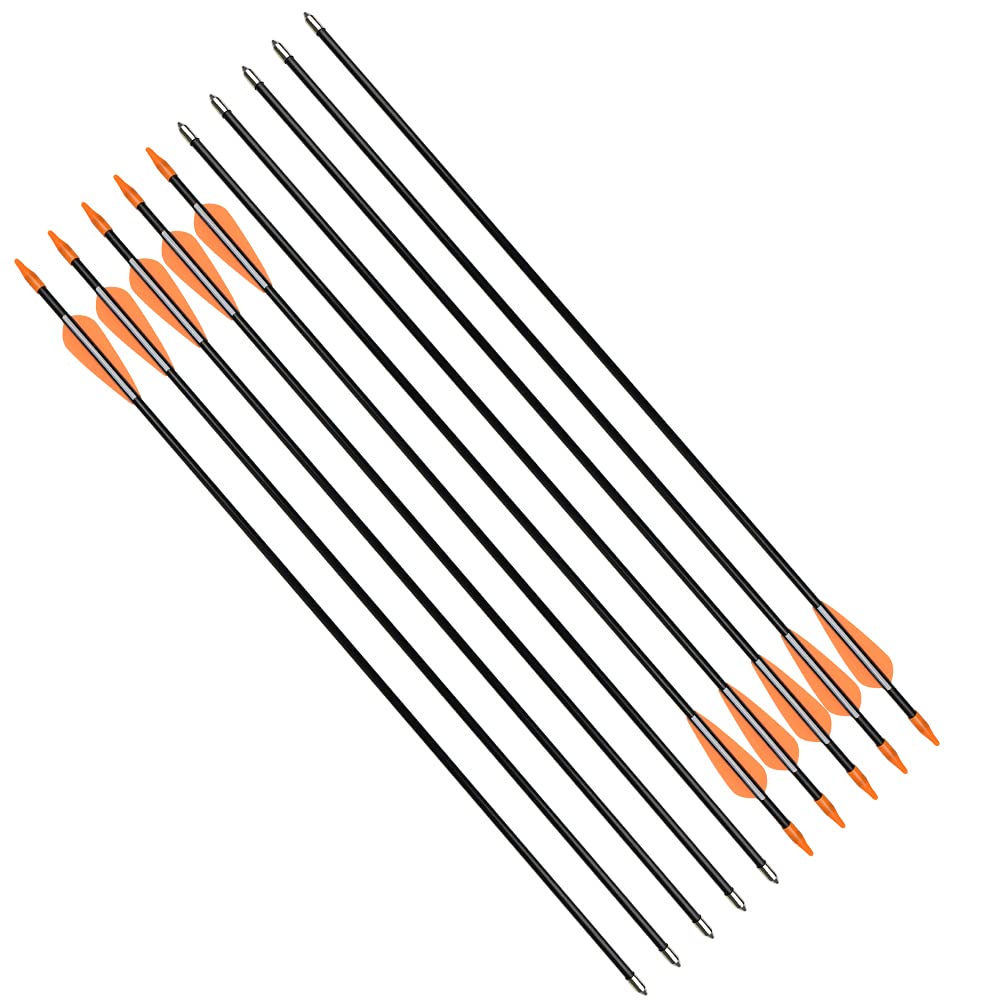 Fiberglass Practice Arrows Archery 24 Inch Target Shooting Safetyglass Recurve Bows Suitable for Youth Woman Beginner 12PCS