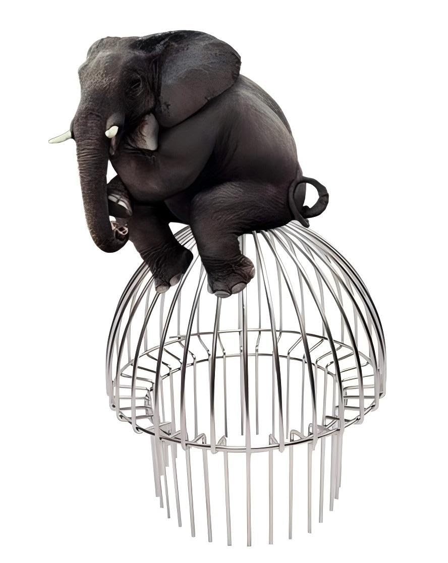 304 Stainless Steel Gutter Guard, Filter Strainer Fits for Round Downspout, Anti-Blocking Line Cap Drain Cover, Fits 3 Inch Tube