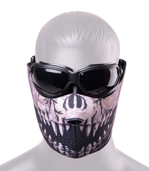 Crosman 80009 Predator Protection Set With Military Style Airsoft Goggles And Reversible Neoprene Half-Mask